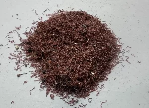 Discharging material